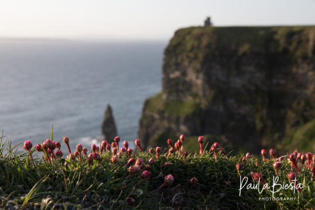 Cliffs of Moher - Ierland - Mei 2016