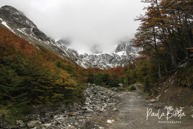 Tierra del Fuego - Argentinië - Maart 2009
