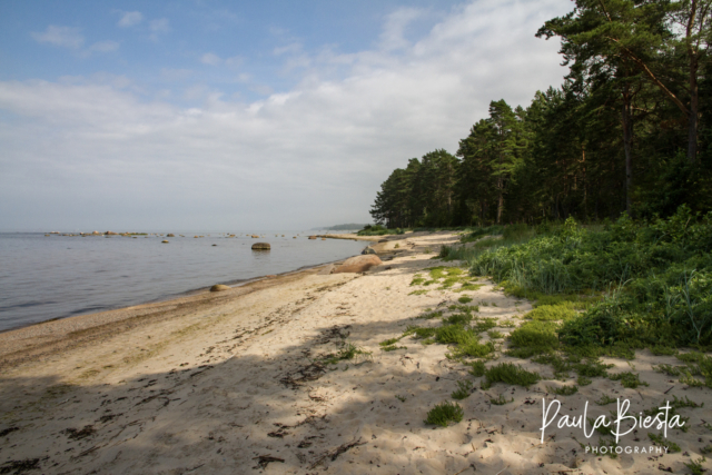 Cape Kolka - Letland - Juli 2016