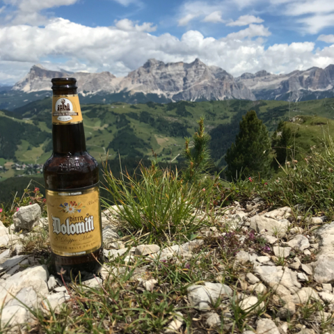 Bier