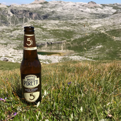 Bier
