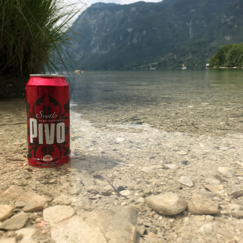 Bier