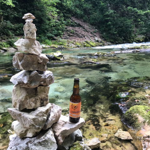 Bier