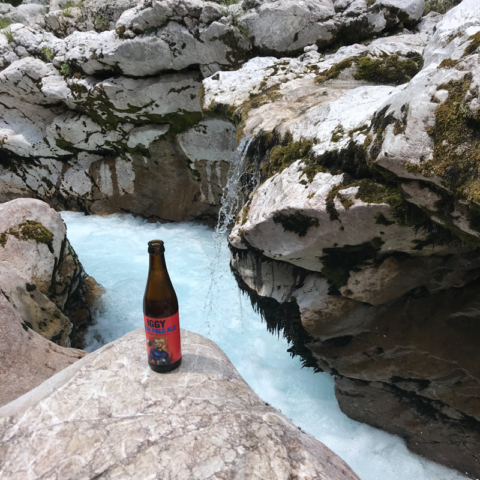 Bier