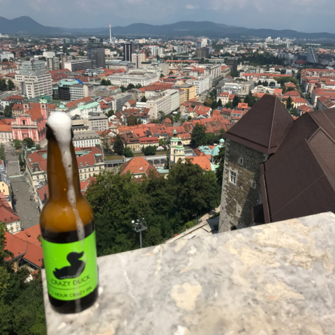 Bier