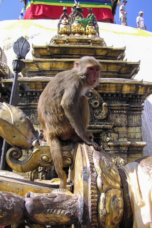 De Swayambhunath Stoepa