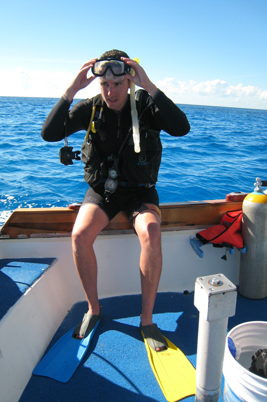 De onderwaterwereld van Jacques Cousteau
